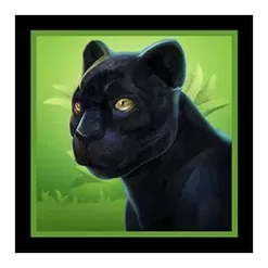 icon 6