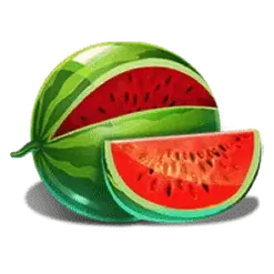 icon 4
