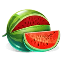 icon 4
