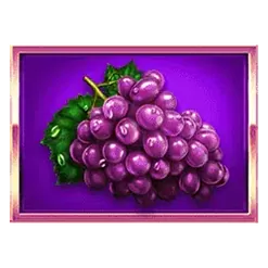 icon 4