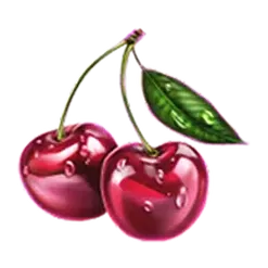 icon 9