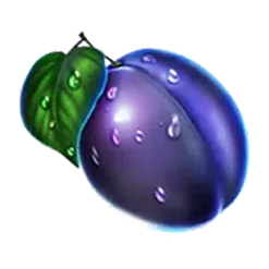 icon 6