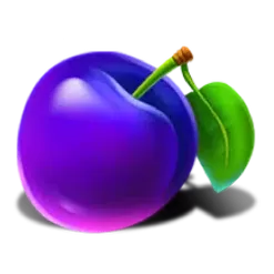 icon 6