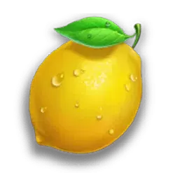 icon 6