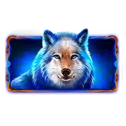 icon 2
