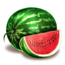 icon 4