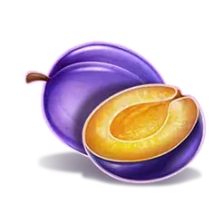 icon 4