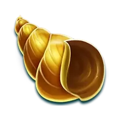 icon 5