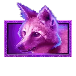 icon 4