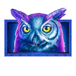 icon 6