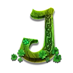 icon 9