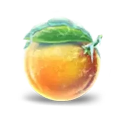 icon 6