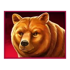 icon 1