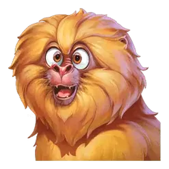 icon 1