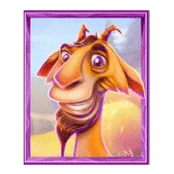 icon 5