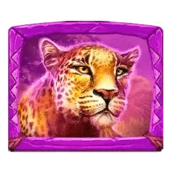 icon 3