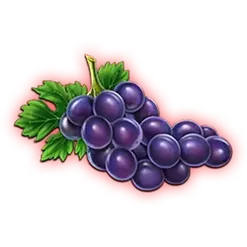 icon 5
