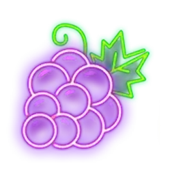 icon 5
