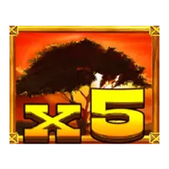 icon 12
