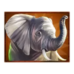 icon 2