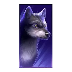 icon 4