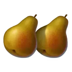 icon 9