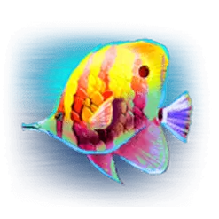 icon 4