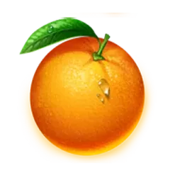 icon 6