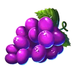 icon 5