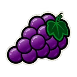 icon 4