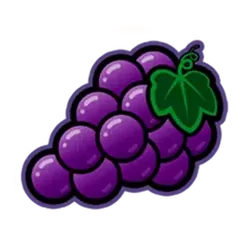 icon 5