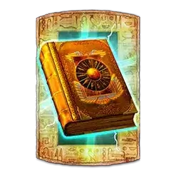 icon 10