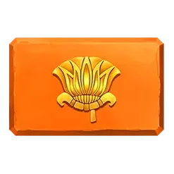 icon 5