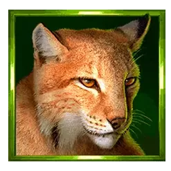 icon 4