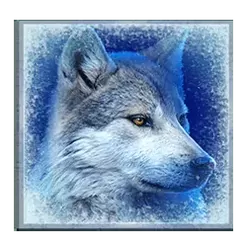 icon 4
