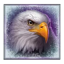 icon 6
