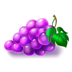 icon 5