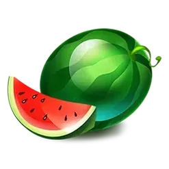 icon 4