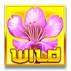 icon 10