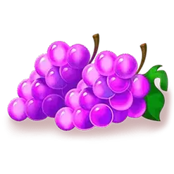 icon 5