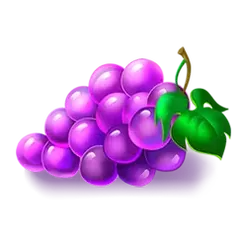 icon 5