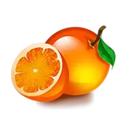 icon 6