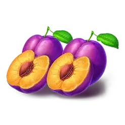 icon 6