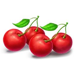 icon 9
