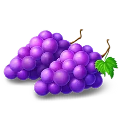 icon 4