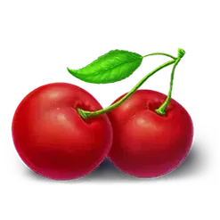icon 9