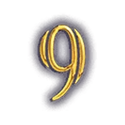 icon 11