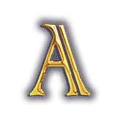 icon 6