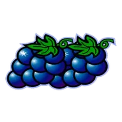 icon 4