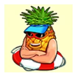 icon 4